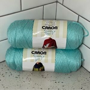 Yarnspirations Caron Acrylic Simply Soft Robins Egg 315 yds ea (Set of 2)